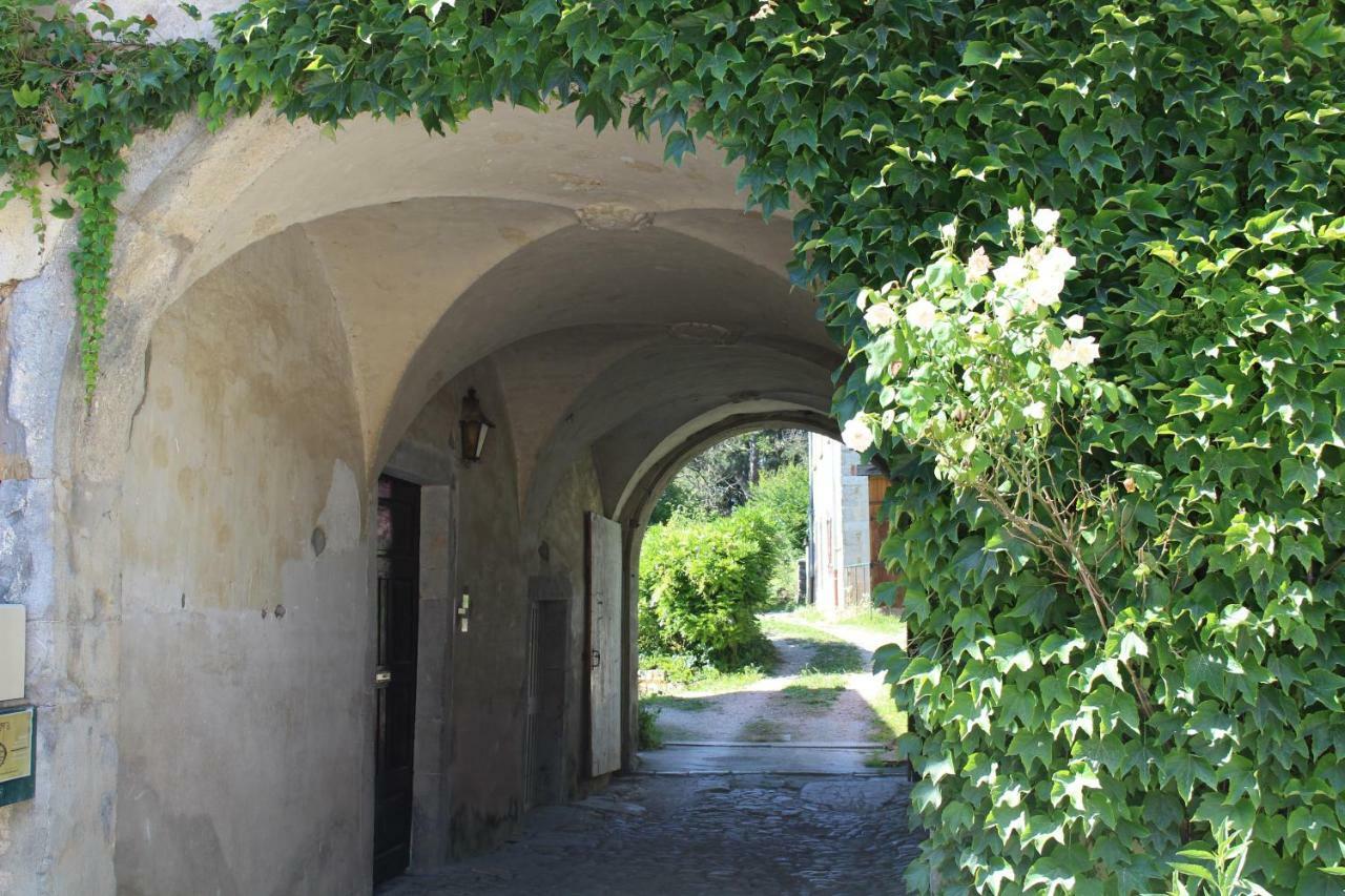 Gite 2 Du Chateau De Feschaux Villeneuve-sous-Pymont Eksteriør billede