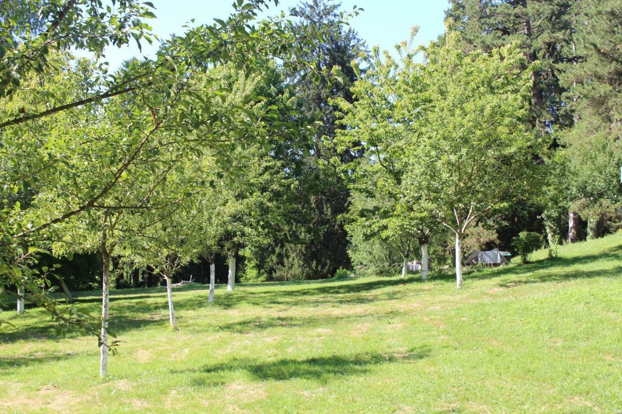 Gite 2 Du Chateau De Feschaux Villeneuve-sous-Pymont Eksteriør billede
